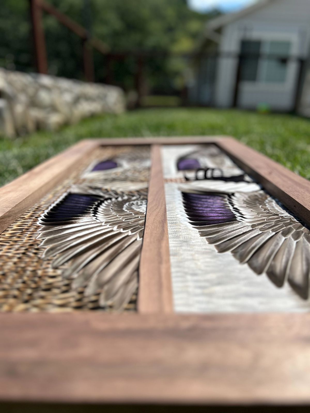 Close-up of layered mallard wing feathers and blue speculum along a walnut frame edge