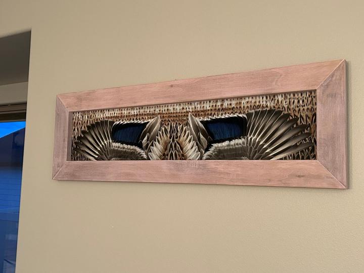 Hen mallard with a pink-tinted frame