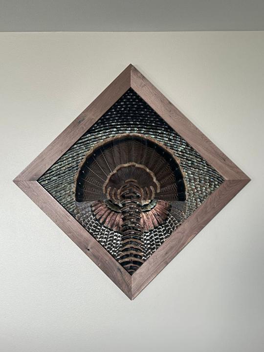 Rio Grande turkey diamond mount on the wall