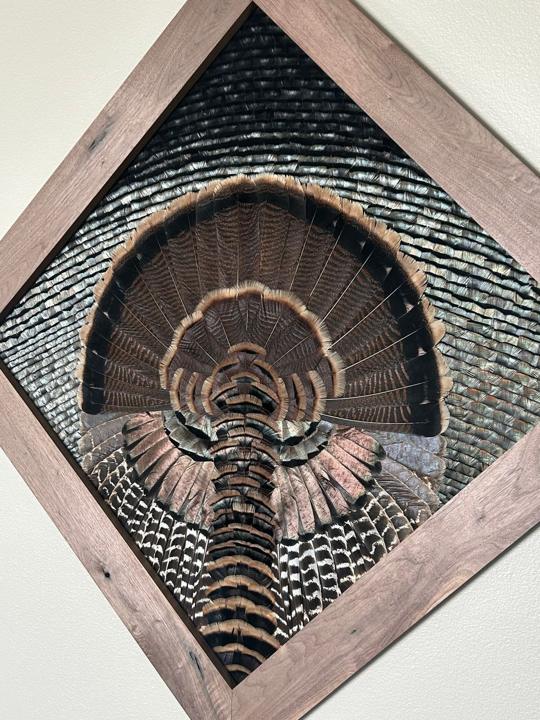 Close-up of the Rio Grande diamond
