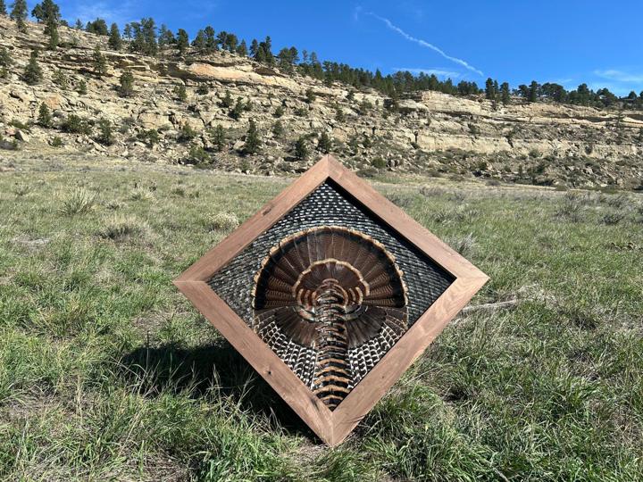 Rio Grande turkey diamond mount below the rimrock