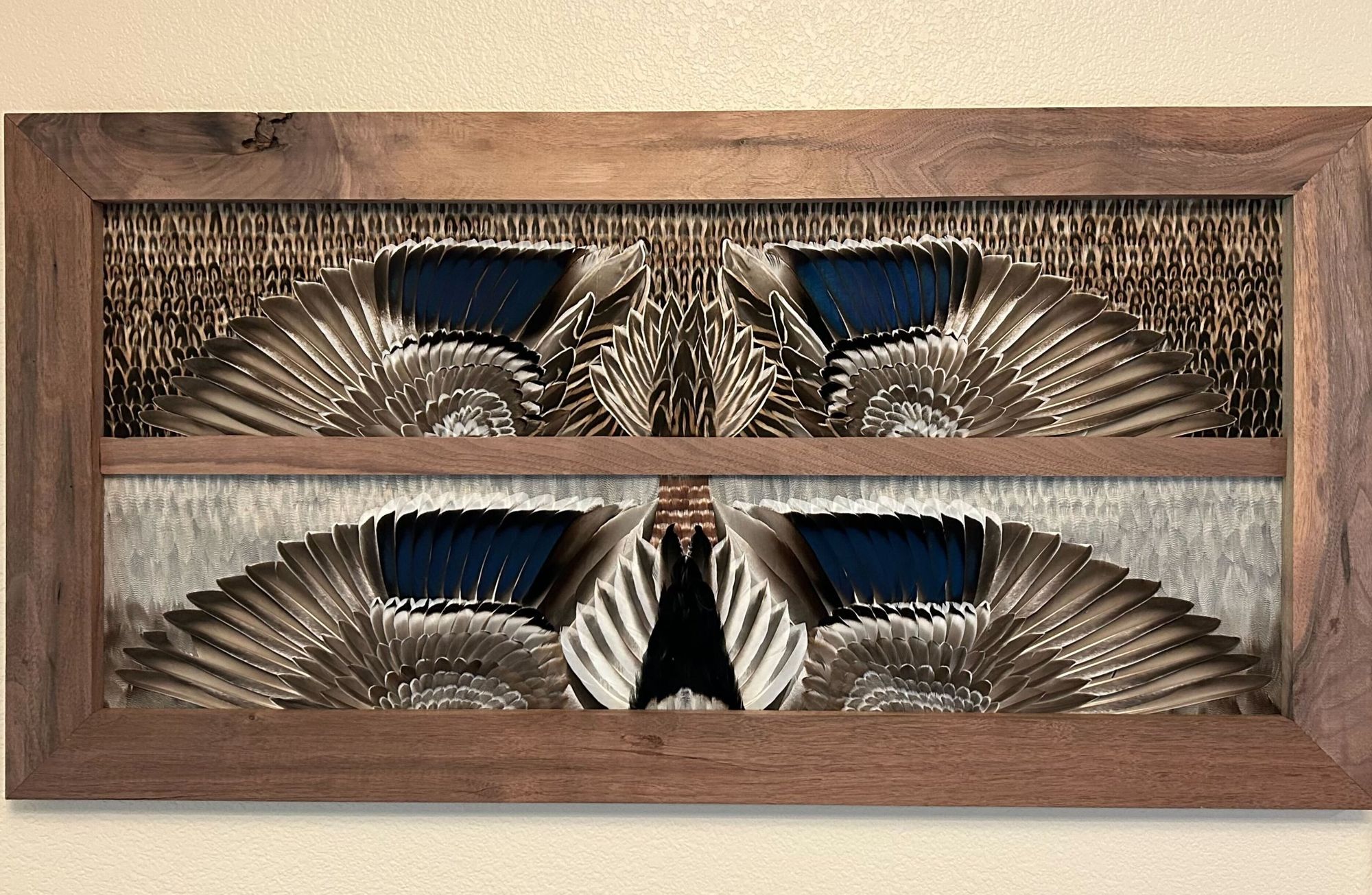 A white-winged mallard hen and drake laid out wings-open in a hardwood frame with a center divider, hanging on a living room wall
